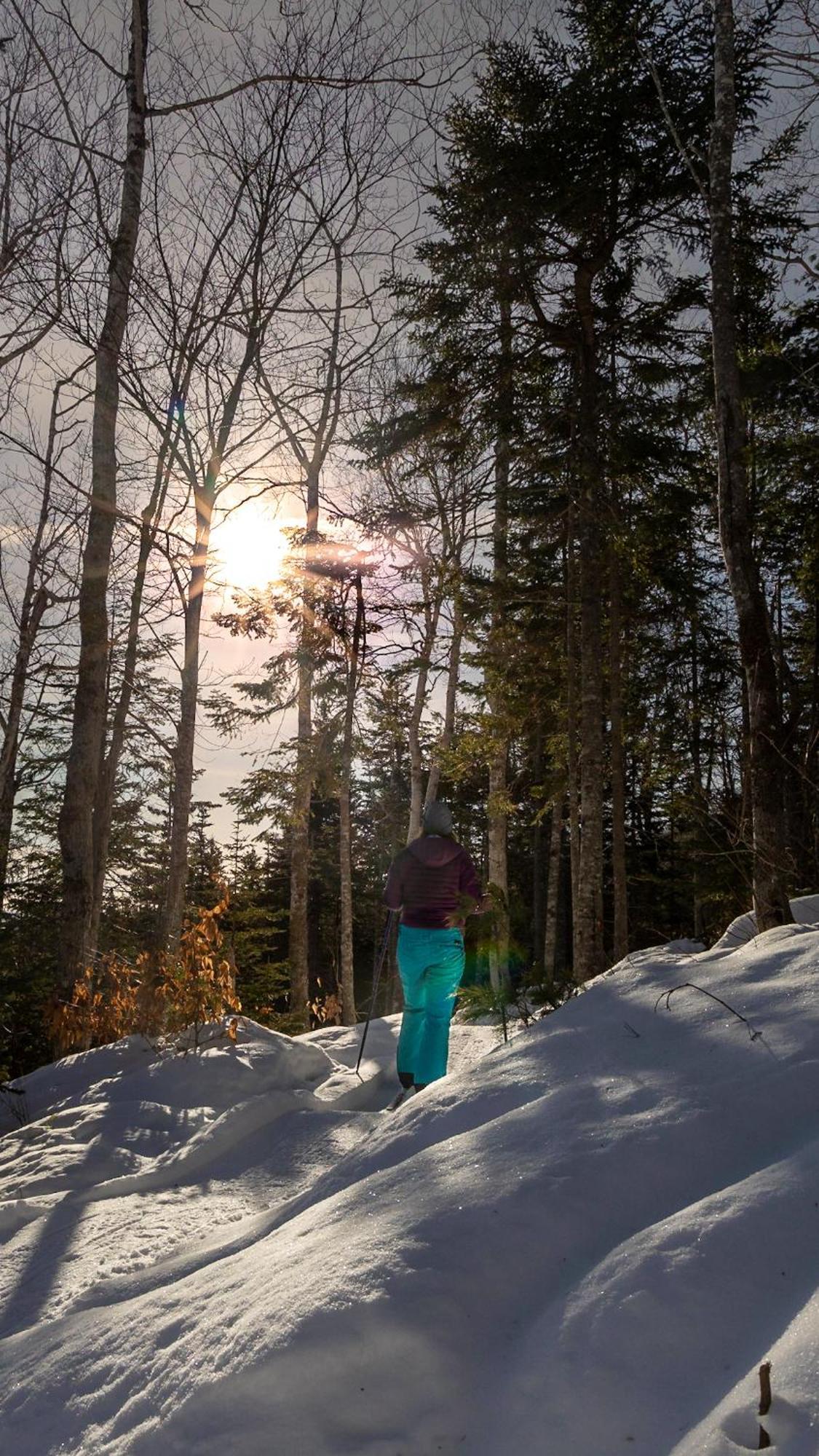 Trailside Accommodations And Outdoor Adventures Birch Plain Dış mekan fotoğraf